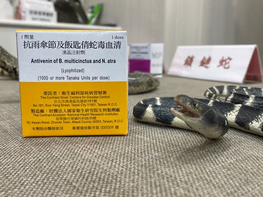 清明掃墓防蛇吻 真被咬怎辦?專家教做「5件事」保命