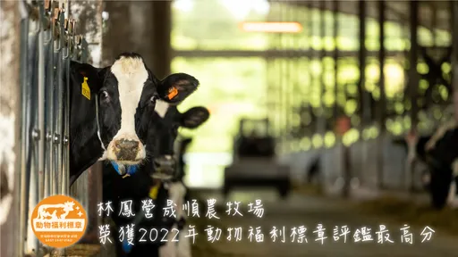 林鳳營晟順農牧場榮獲2022年動物福利標章評鑑最高分　堅持在看不到的地方都用心