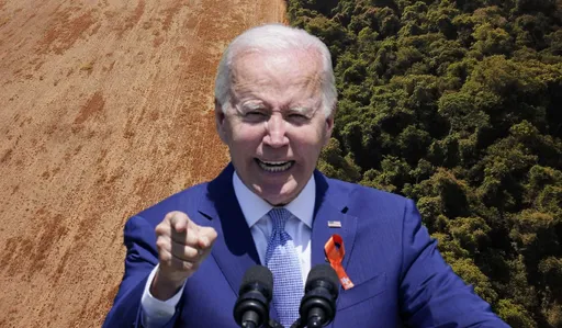 拯救雨林生態!拜登:美國將向亞馬遜基金捐款5億美元