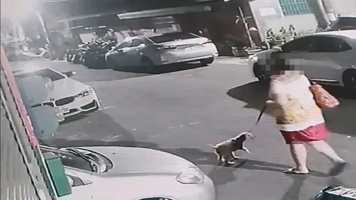 女賊邊溜狗邊隨機開車門喜竊15萬　得便宜還賣乖！竟稱錢太多花不完