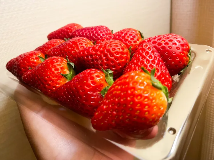 佐賀草莓口感鮮甜。賴昀岫攝