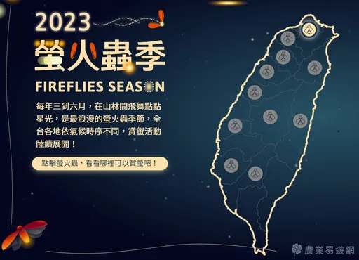 看螢火蟲趁現在!這「5件事」要注意 一圖掌握賞螢勝地