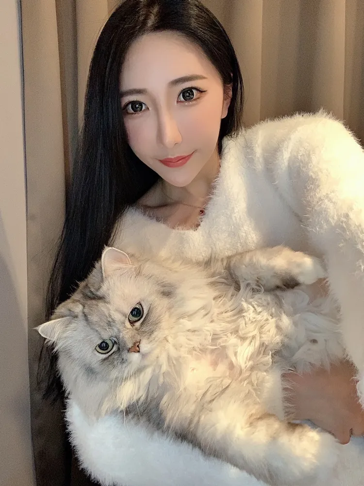 人氣主播冰冰BingBing相當寶貝家中16歲的金吉拉Bobo波波。冰冰提供