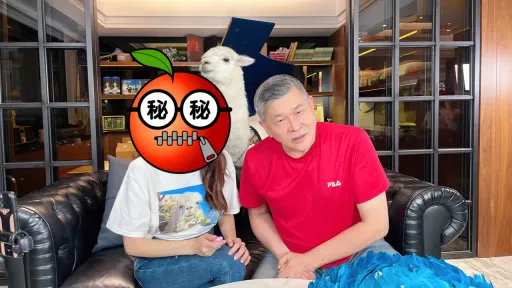 澎恰恰2原因陷債務黑洞　10億身家女歌手伸出援手