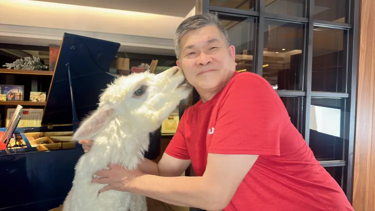 澎恰恰跟王宥忻家萌寵羊駝很投緣。