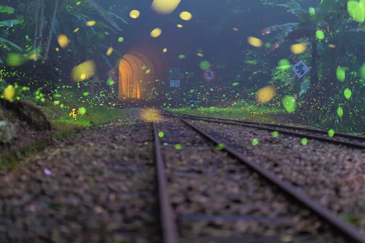 梅山鄉梨園寮車站。嘉義縣政府提供