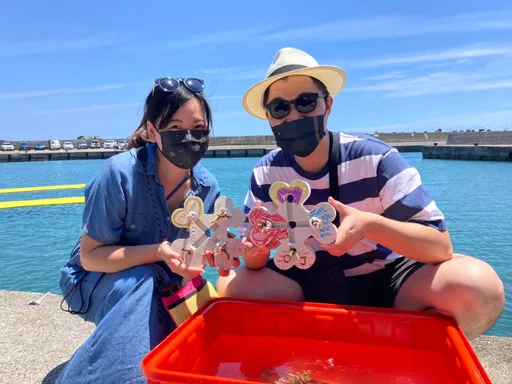 貢寮和美漁港3優勢成生態棲息良地 海底更美了!珊瑚復育有成