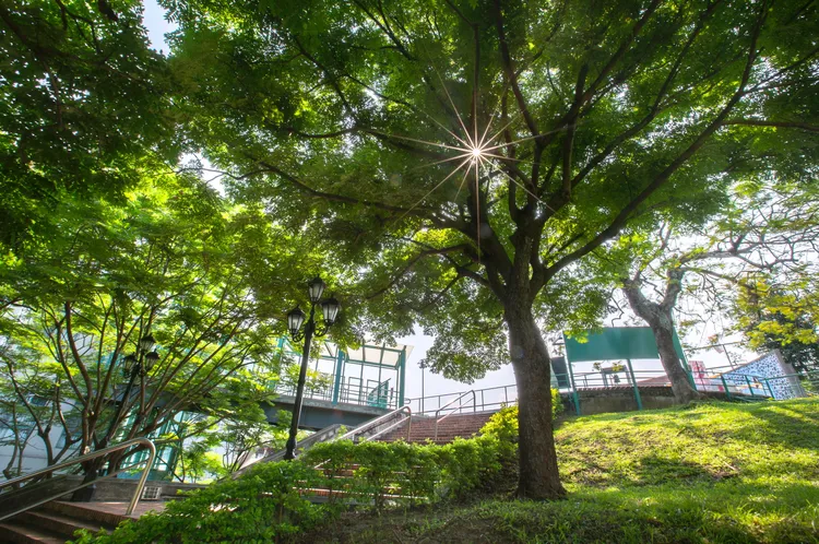 為了營造人與自然共融的校園環境，朝陽科大校園綠覆率已超過94%，並成為全台首批取得環保署認證環境教育設施場所。