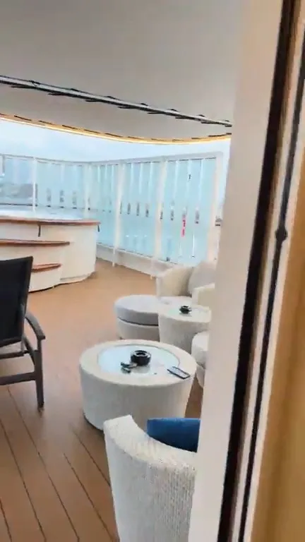 陽台一景。引自廖老大臉書