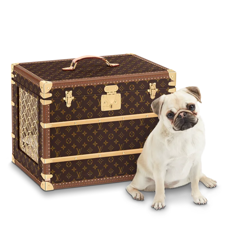 寵物硬箱，116萬元。品牌提供