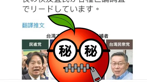 2024誰來選！ 日媒已經列出「4大巨頭」讓她驚呼：日本真的很懂捏