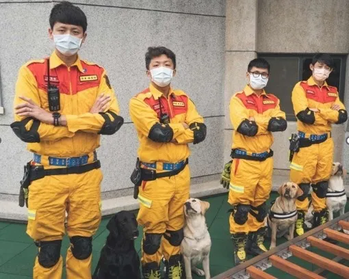 竹市特搜量能再提升 4搜救犬全數通過IRO國際檢測評量認證