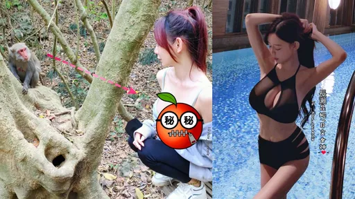 最兇日文師「外衣拉下」炸出超巨雪乳 猴子也看呆!粉絲暴動:羨慕了