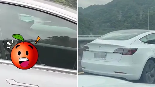 特斯拉駕駛、乘客國5一路睡 網狂酸:T牌為所欲為!緩撞車解決他