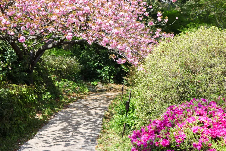 御船山樂園內花景與步道。賴昀岫攝