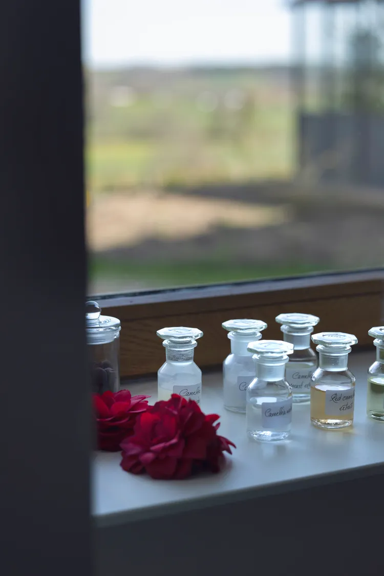 植物分析實驗室。品牌提供