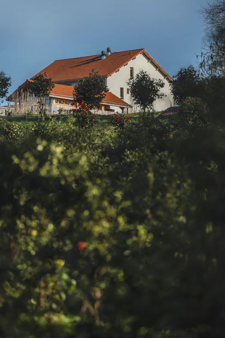 山茶花農場。品牌提供