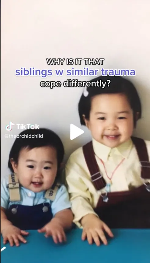 茱蒂李的影片吸引130萬人次觀賞。翻攝tiktok@theorchidchild