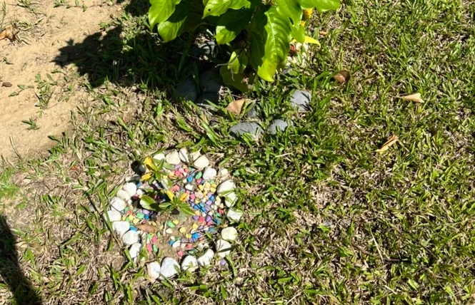 動保處說，寵物遺體火化及環保葬是未來的趨勢。農業局提供