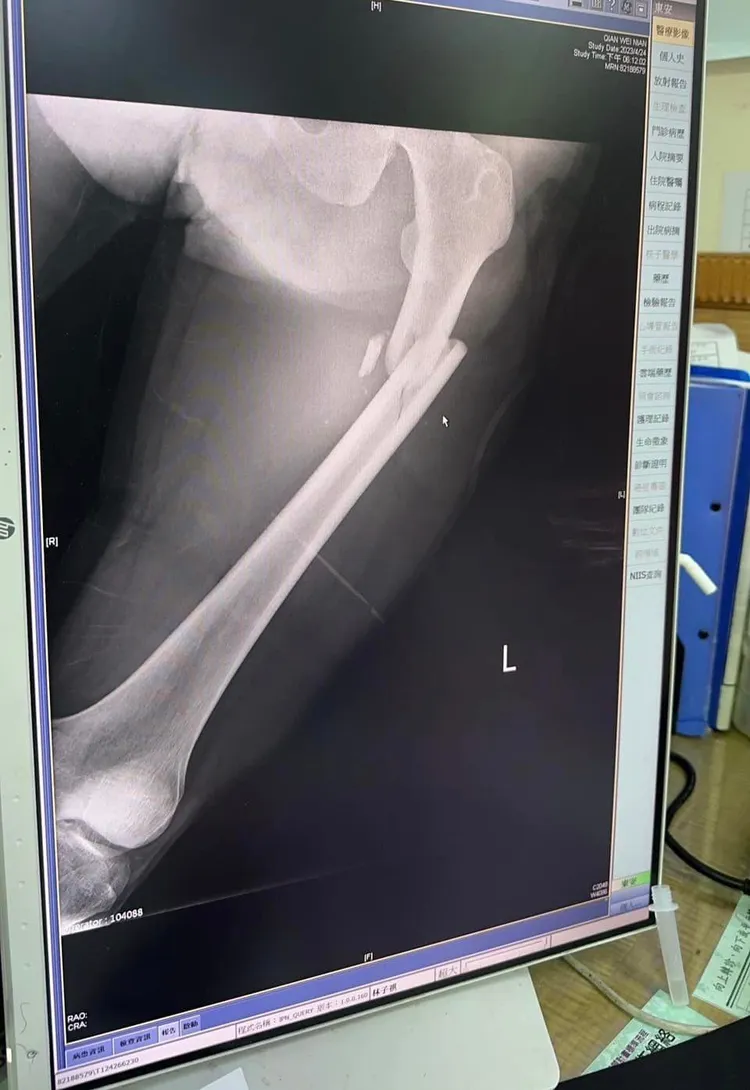 翻攝自臉書「爆廢公社」