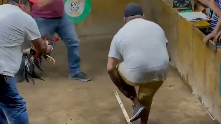 翻攝自Martín Hernandez推特