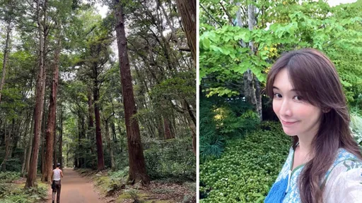 可以這樣閃了又閃？！林志玲愛妻視角拍AKIRA　甜蜜共享森林浴