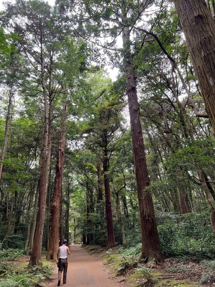 林志玲享受森林浴有AKIRA作陪。翻攝林志玲臉書