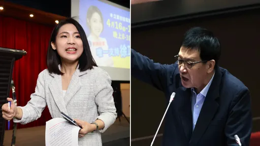 電話民調落敗徐巧芯？　費鴻泰反酸：我比她還滿意