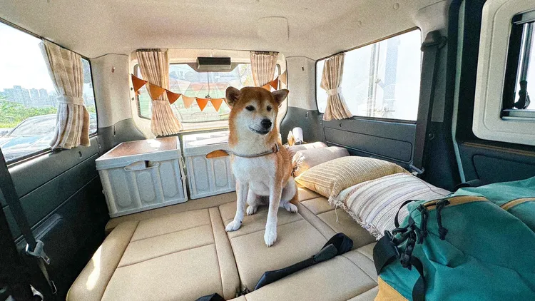 君品Collection旗下VANTEL露營車響應4/11國際寵物日，推出毛小孩限定租用方案，平日售價5180元。業者提供