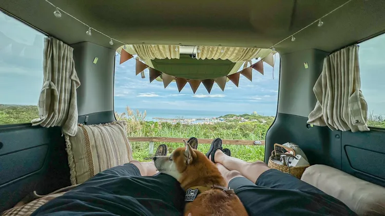 vantel響應國際寵物日推出露營車毛孩出遊方案。業者提供