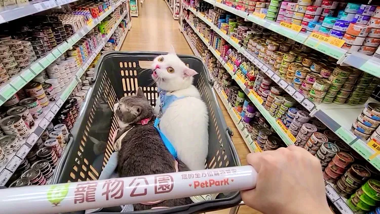 週末使用LINEPAY好康地圖，消費滿1200元可折抵100元。業者提供