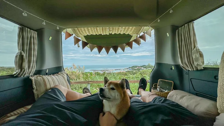 根據統計，2021年全台寵物貓、狗數量已超過295萬隻，正式超越台灣15歲以下幼年人口的289萬人。業者提供