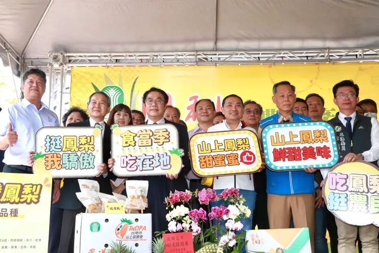 南市農業局拓展鳳梨內外銷通路。資料畫面