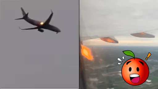 美航客機空中噴火現駭人畫面 乘客曝:機長說有雁進入引擎