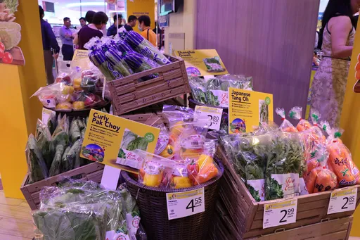 雲林蔬果進軍新加坡 最大連鎖超市辦「台灣蔬菜節」