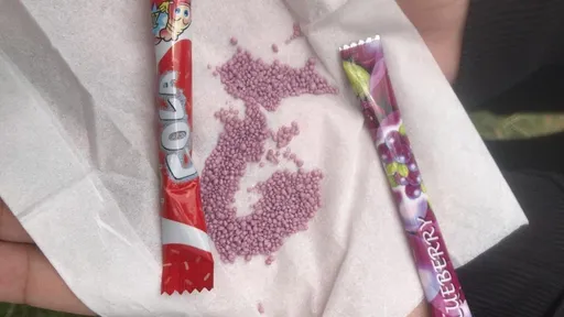 造謠高雄社教館發「玻璃渣糖果」 16歲少女社維法送辦