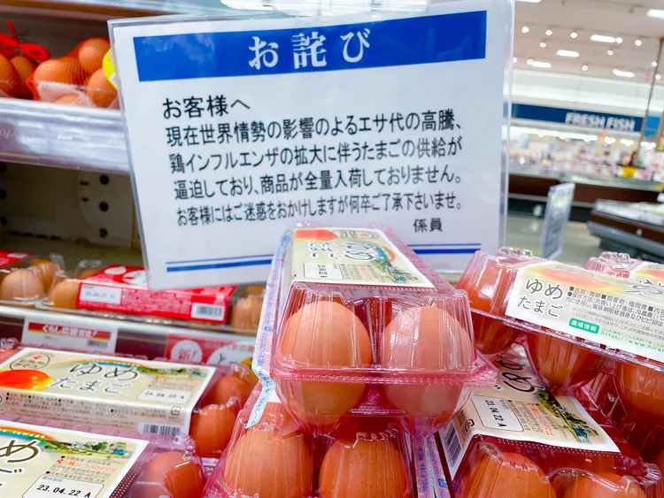 業者貼出道歉告示，說明雞蛋供應狀況。賴昀岫攝