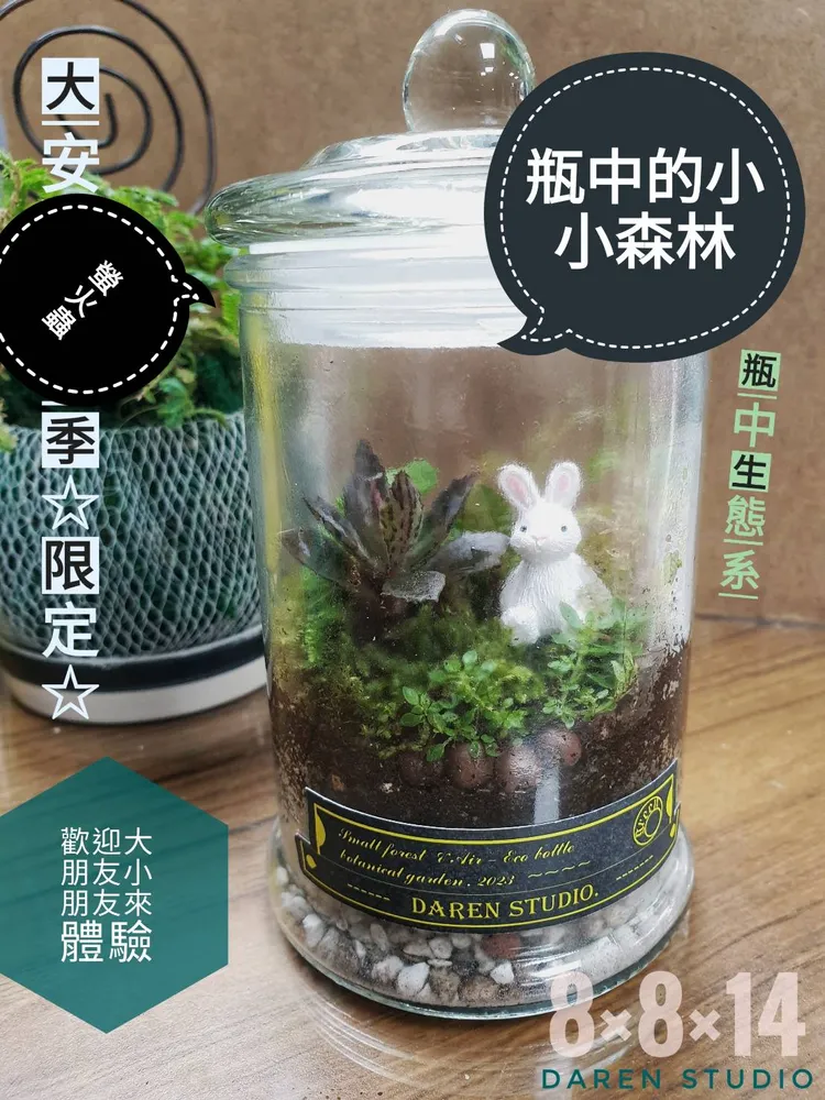 瓶中的小小森林手作課程。公園處提供