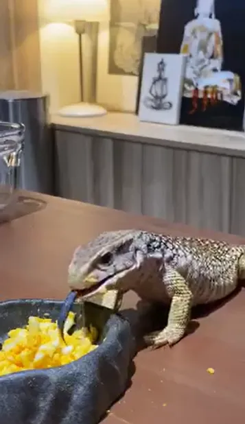 草巨。翻攝自李沛旭臉書