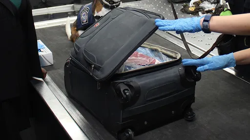 帶A漫過海關被要求「當場翻閱」 她哀號社死:還好是BG不是BL