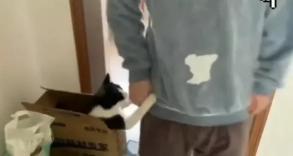 主子我們來玩躲貓貓，有沒有被我嚇到啊~IG @petshome_world 提供