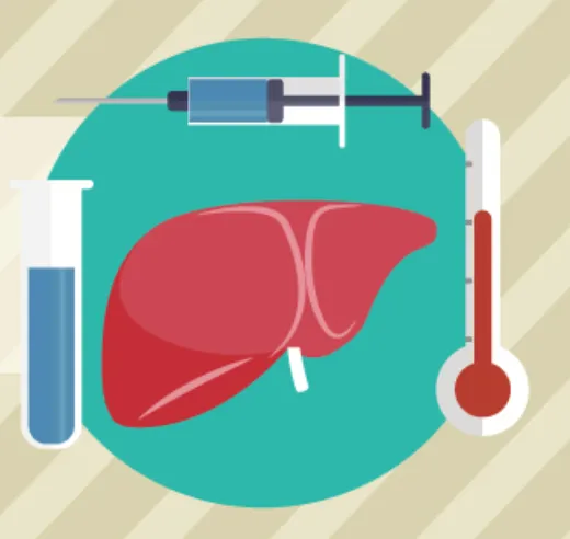 肝癌初期症狀不明顯。翻攝國健署官網