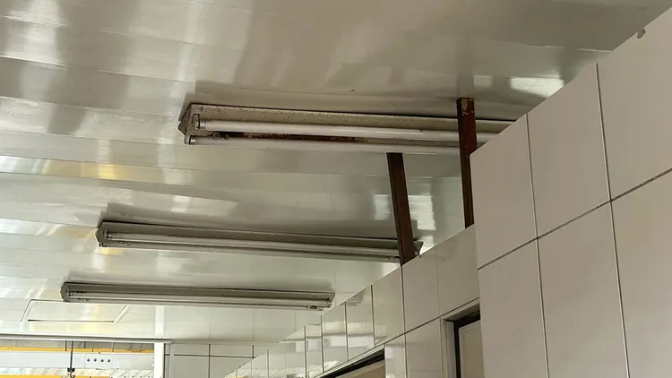 翻攝自蔡培慧臉書