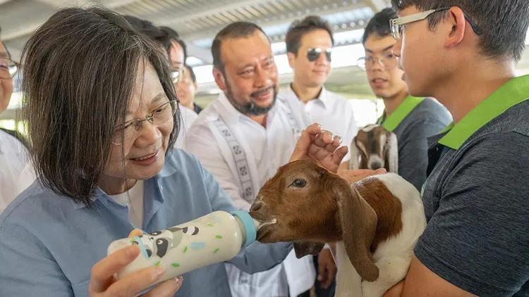 蔡英文到貝里斯造訪台灣技術團種羊計劃。翻攝自蔡英文臉書