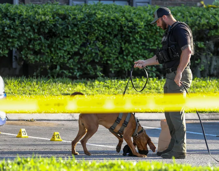 警方與警犬搜尋失蹤男童的下落。美聯社