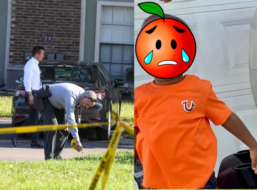 媽媽被殺死在公寓2歲兒卻失蹤　警方最後在鱷魚口中發現他屍體
