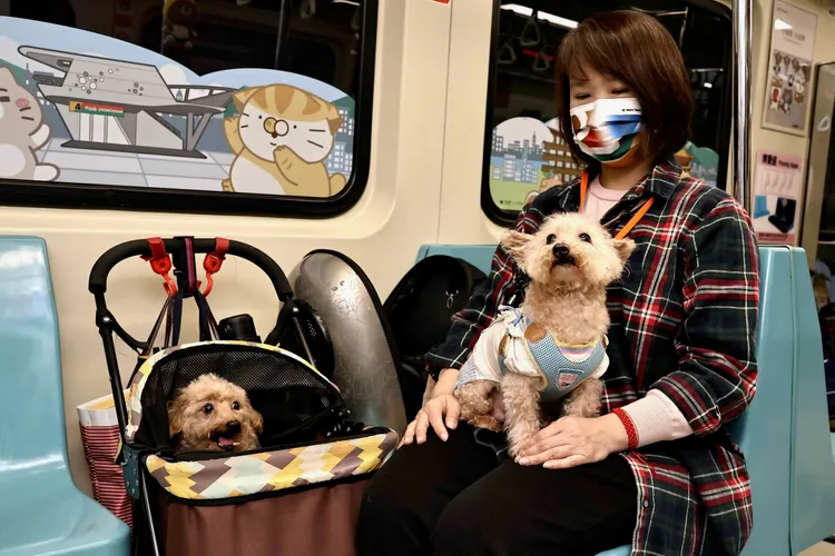 聶小姐與其愛犬多多和奶油。施昂強攝