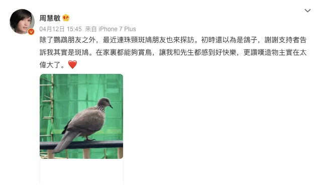 周慧敏間接否認婚變。翻攝周慧敏微博