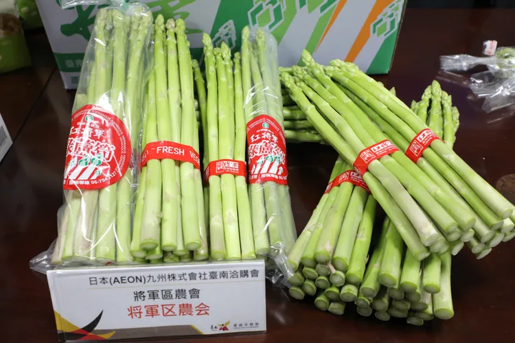 將軍蘆筍全國有名。市府提供