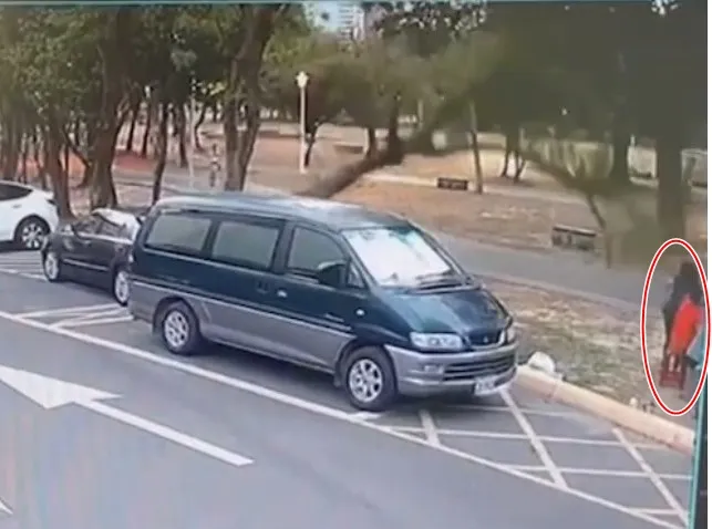 微笑公園樹木倒塌砸中下方聊天的阿嬤。讀者提供